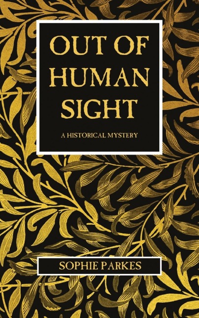 Out of Human Sight: A Historical Mystery