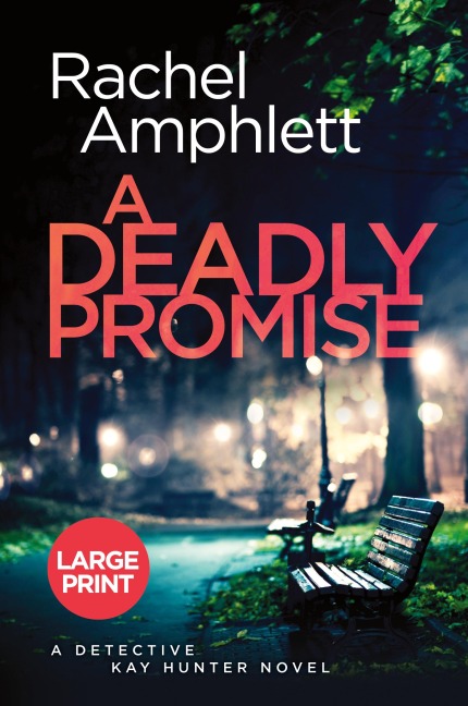 A Deadly Promise: A Detective Kay Hunter crime thriller (large print)