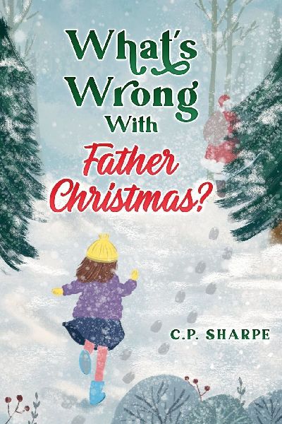 Whats Wrong with Father Christmas?