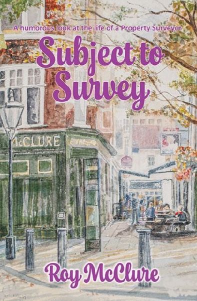 Subject to Survey: The humourous diary of a property surveyor