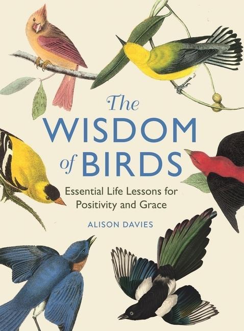 The Wisdom of Birds: Essential Life Lessons for Positivity and Grace
