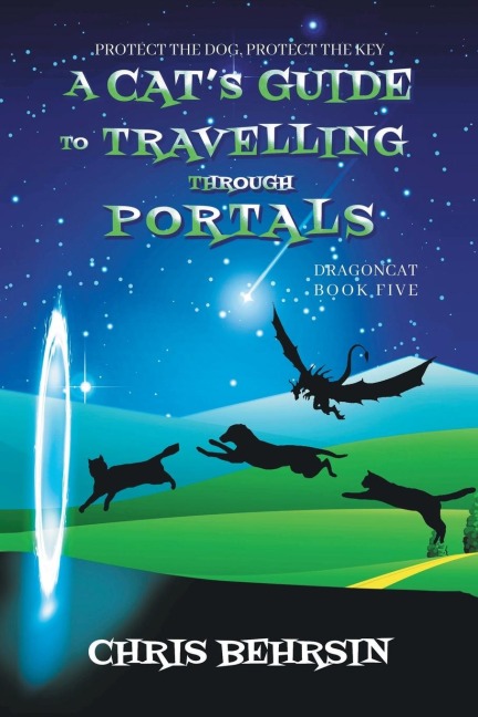 A Cats Guide to Travelling Through Portals