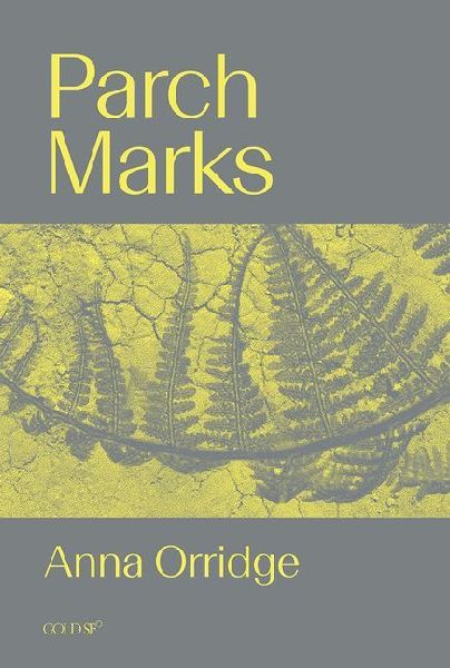 Parch Marks