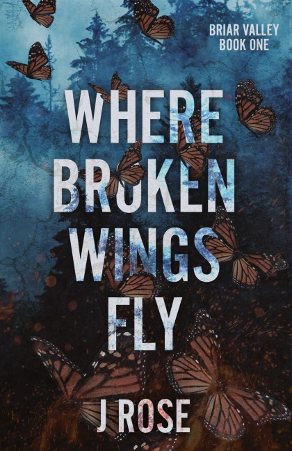 Where Broken Wings Fly
