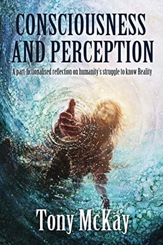 Consciousness and Perception A Part-Fictionalised Reflection On Humanity's Struggle To Know Reality