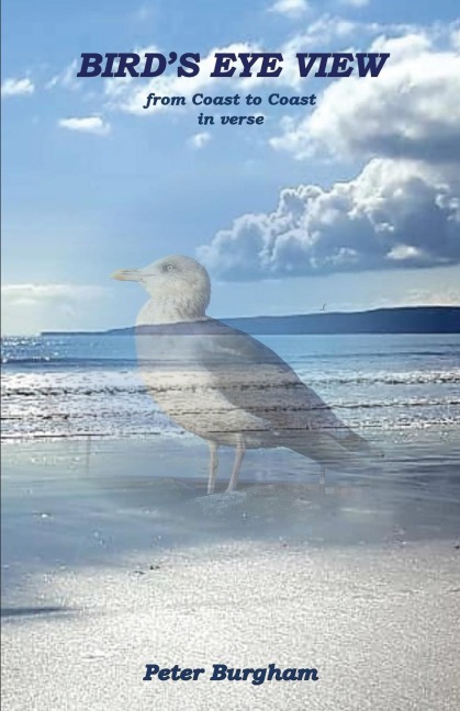 BIRDS EYE VIEW: from Coast to Coast in verse