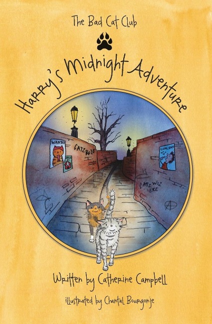 Harrys Midnight Adventure