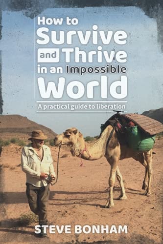 How to Survive and Thrive in an Impossible World A Practical Guide to Liberation