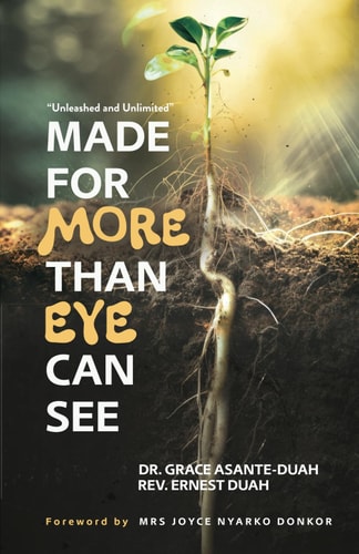 Made for More Than Eye Can See Unleashed and Unlimited