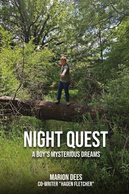 Night Quest: A Boys Mysterious Dreams