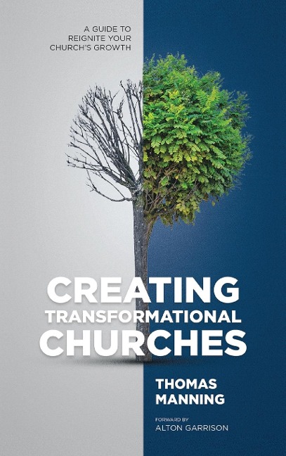 Creating Transformational Churches: A Guide to Reignite Your Churchs Growth