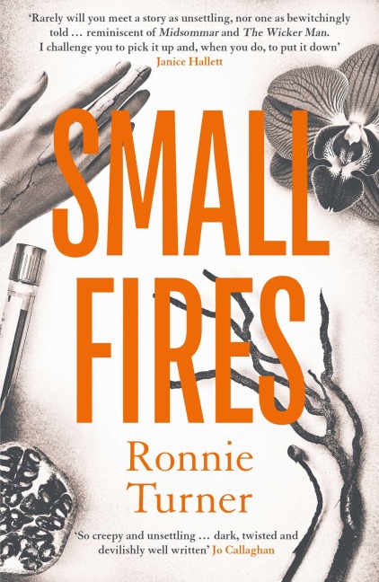 Small Fires: This years most unsettling, hypnotic contemporary gothic thriller