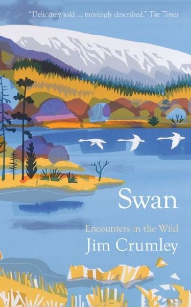 Swan