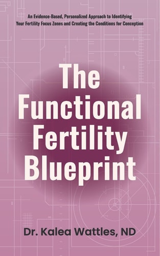 The Functional Fertility Blueprint: An Evidence-Based, Personalized Approach to Identifying Your Fertility Focus Zones and Creating the Conditions for Conception