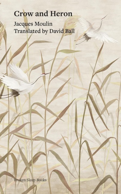 Crow and Heron