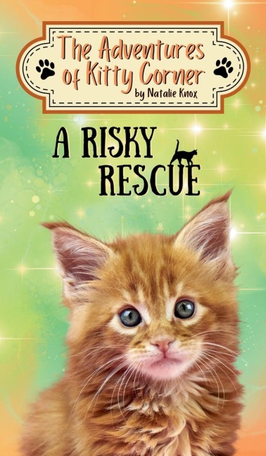 A Risky Rescue: The Adventures of Kitty Corner, Book 1: A Cat Adventure For Young Readers