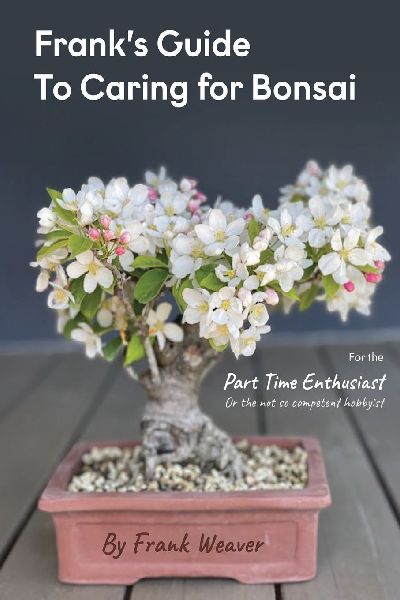 Franks Guide to Caring for Bonsai