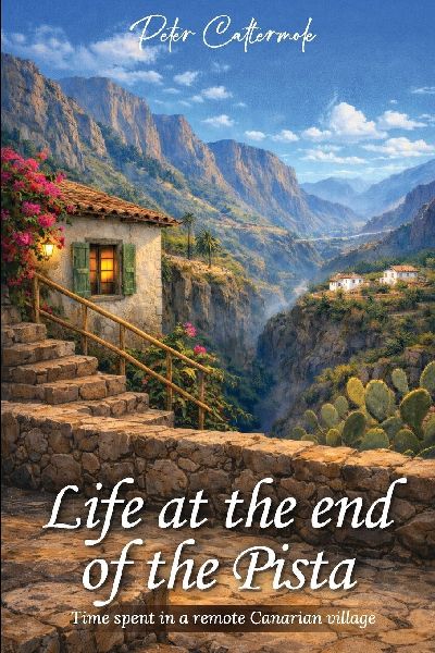 Life At The End Of The Pista: Time spent in a remote Canarian village