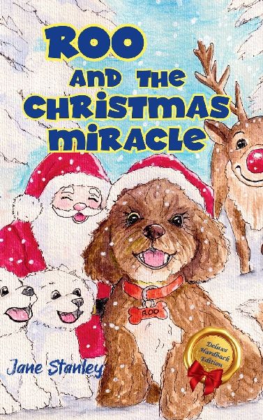 Roo and the Christmas Miracle