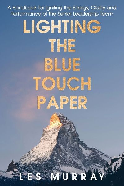 Lighting the Blue Touch Paper: A Handbook for Igniting the Energy, Clarity and Performance of the Senior Leadership Team