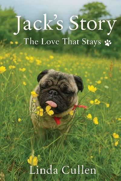 Jacks Story: The Love That Stays