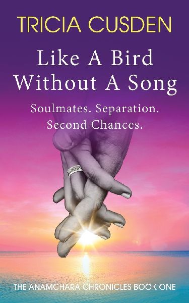 Like A Bird Without A Song: Soul Mates. Separation. Second Chances