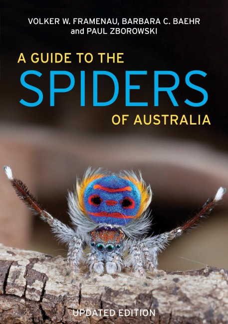 A Guide to Spiders of Australia: Updated edition