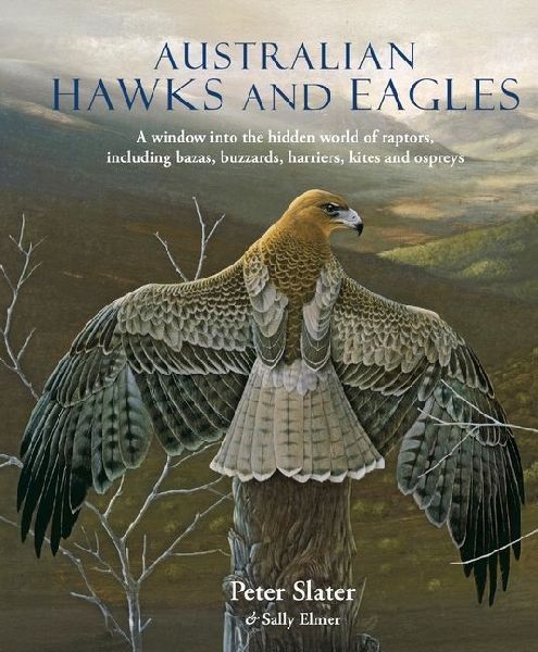 Australian Hawks and Eagles: A Window Into the Hidden World of Raptors, Including Bazas, Buzzards Harriers, Kites and Ospreys