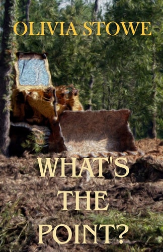What's The Point? Charlotte Diamond Mysteries 5