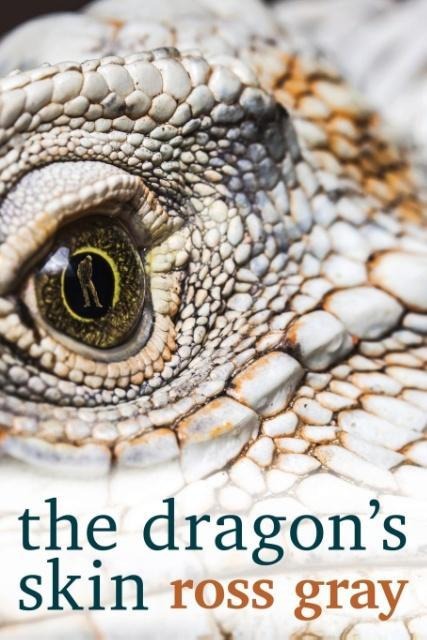 The Dragons Skin