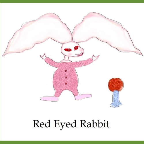 Red Eyed Rabbit A Book For Rabbits