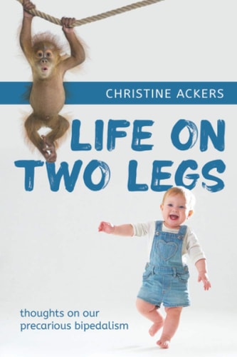 Life on Two Legs Thoughts on Our Precarious Bipedalism