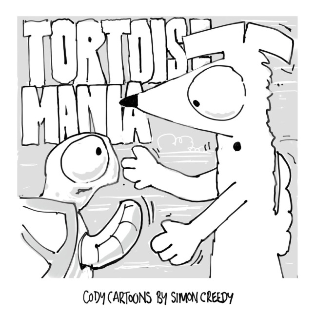 TORTOISE MANIA: Cody attempts to stop bullying with a clever idea