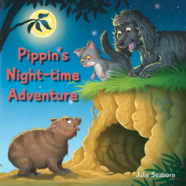 Pippins Night-time Adventure