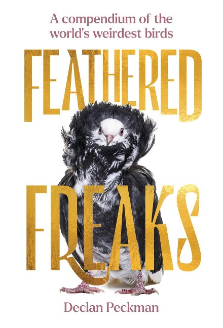 Feathered Freaks: A compendium of the worlds weirdest birds