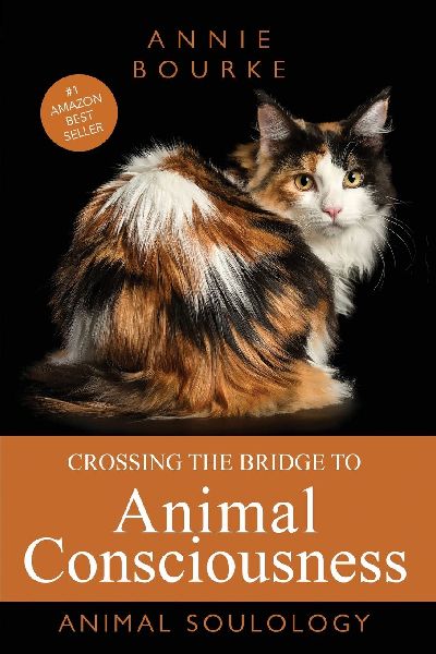Crossing the Bridge to Animal Consciousness: Animal Soulology