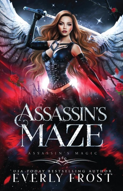 Assassins Maze