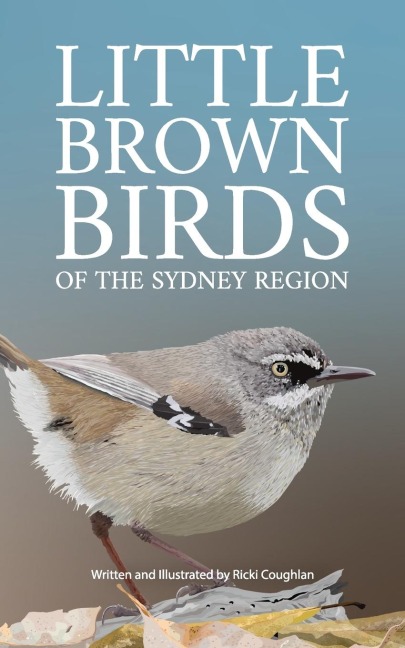 Little Brown Birds