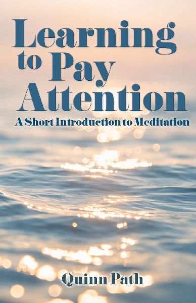 Learning to Pay Attention: A Short Introduction to Meditation