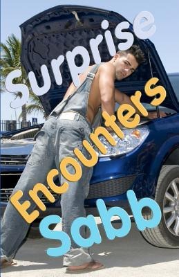 Surprise Encounters A Gay Erotica Anthology