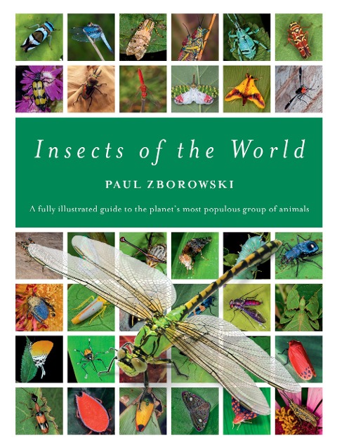 Insects of the World: An Illustrated Guide to the World's Most Abundant Creatures