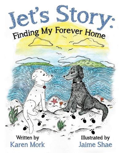 Jet's Story Finding My Forever Home