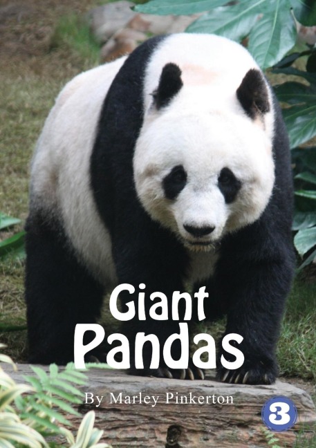 Pandas
