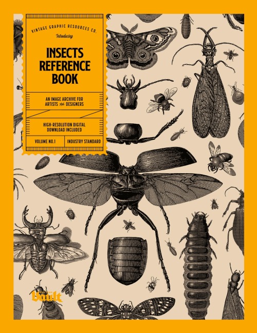 Insects Reference Book