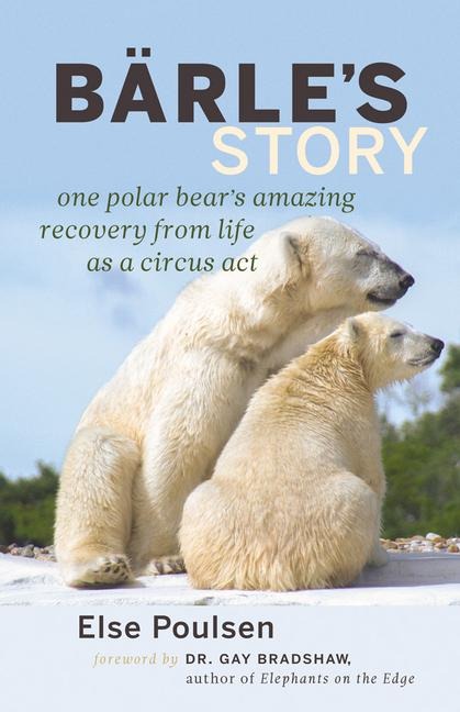 Barles Story: One Polar Bears Amazing Recovery from Life as a Circus Act