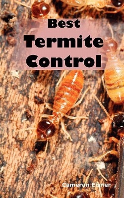 Best Termite Control All You Need to Know about Termites and How to Get Rid of Them Fast