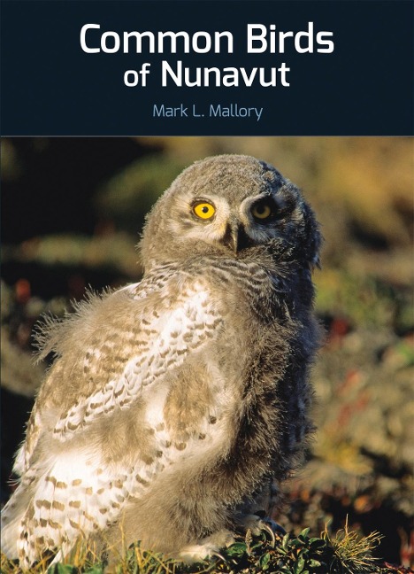 Common Birds of Nunavut