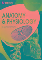 Anatomy & Physiology: Student Workbook