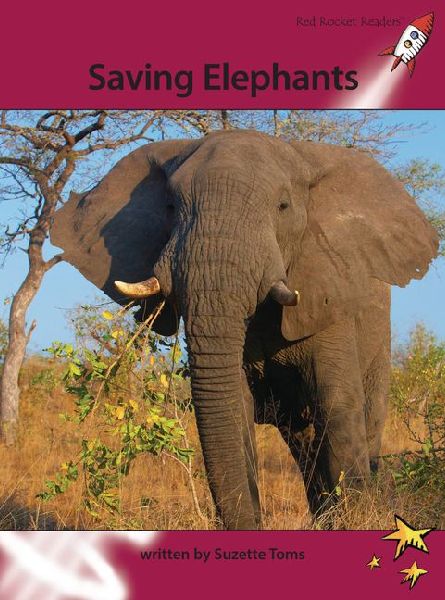 Saving Elephants