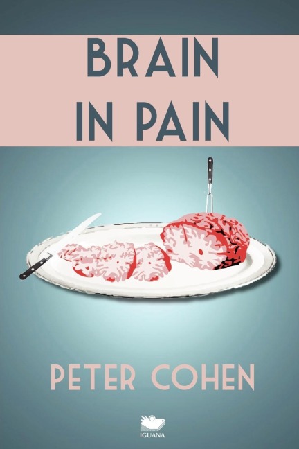 Brain in Pain: A Wounded Healers Heart-Wrenching and Heart-Warming Guide to Schizophrenia